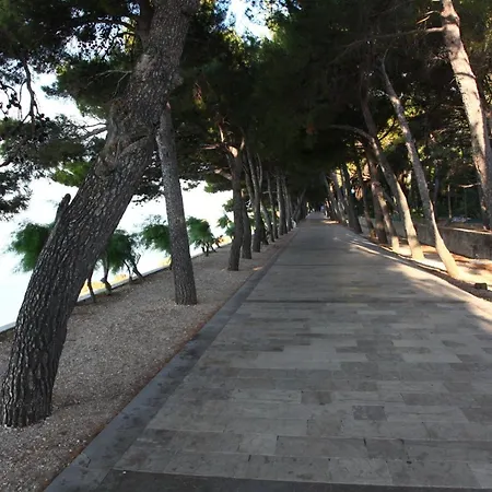 Villa Stunning 4 Bedrooms Zlatni Rat Stunning Location 5m From The Sea 150m From Centre Brac Bol
